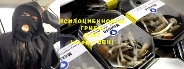 сатива Арсеньев