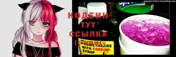 сатива Арсеньев