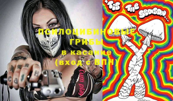 сатива Арсеньев