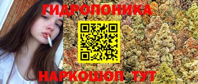 ГАЛЛЮЦИНОГЕННЫЕ ГРИБЫ Можга