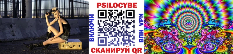 Псилоцибиновые грибы Cubensis  Гурьевск 