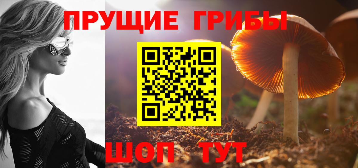 Псилоцибиновые грибы мухоморы  Вход с VPN  Гурьевск  Галлюциногенные грибы мухоморы 